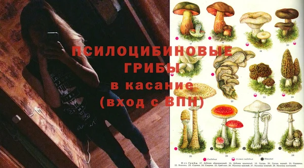 таблы Алексеевка