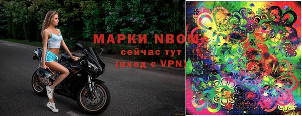 твердый Алзамай