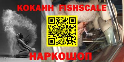 индика Будённовск