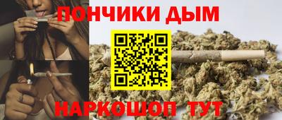 индика Будённовск