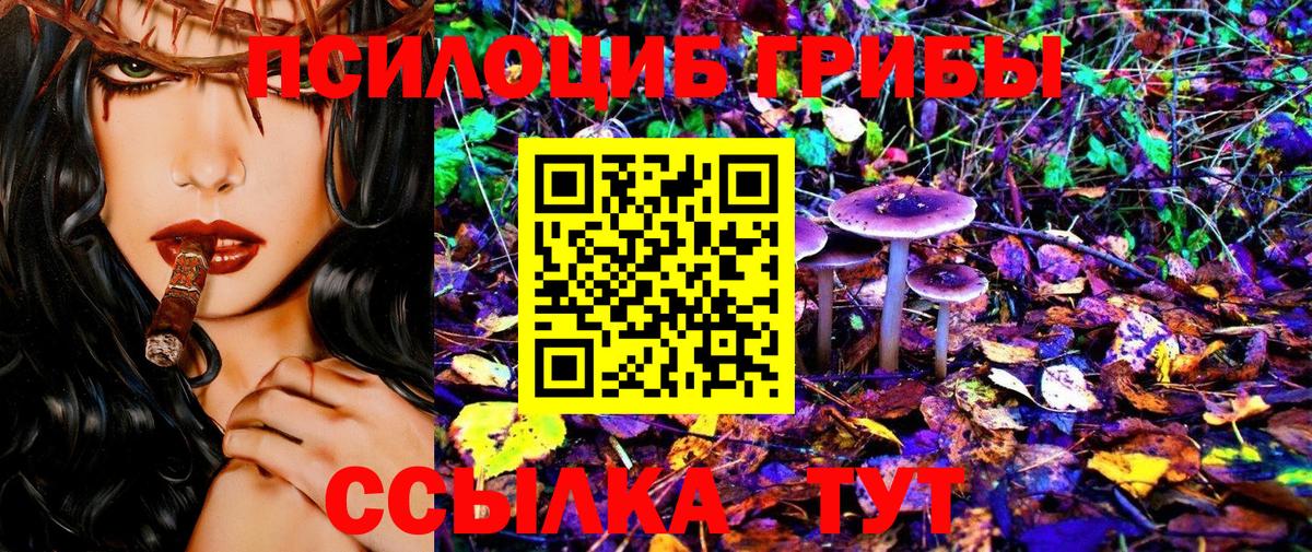 Галлюциногенные грибы мицелий  Псилоцибиновые грибы Cubensis  Вход с VPN  Батайск 