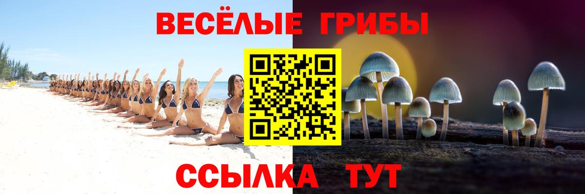 Псилоцибиновые грибы ЛСД Батайск